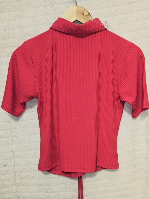 Red  Crop Top